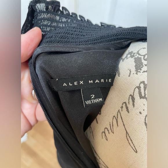 ALEX MARIE Amelia smocked turtleneck dress - Picture 4 of 4